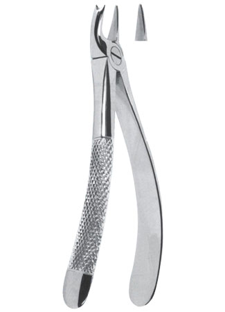 Extracting Forceps – English Pattern