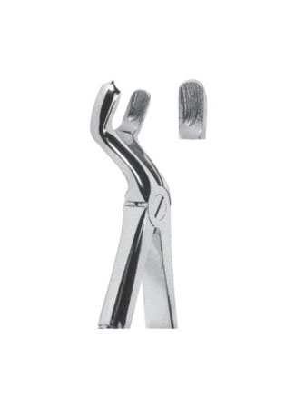 Extracting Forceps – English Pattern