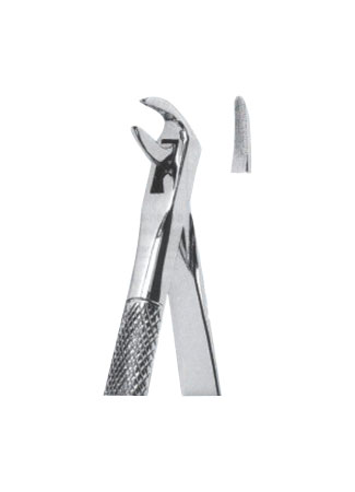 Extracting Forceps – English Pattern