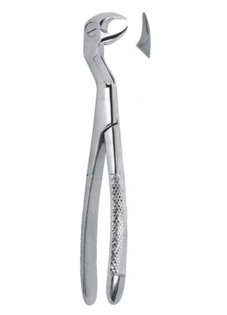 Extracting Forceps – English Pattern